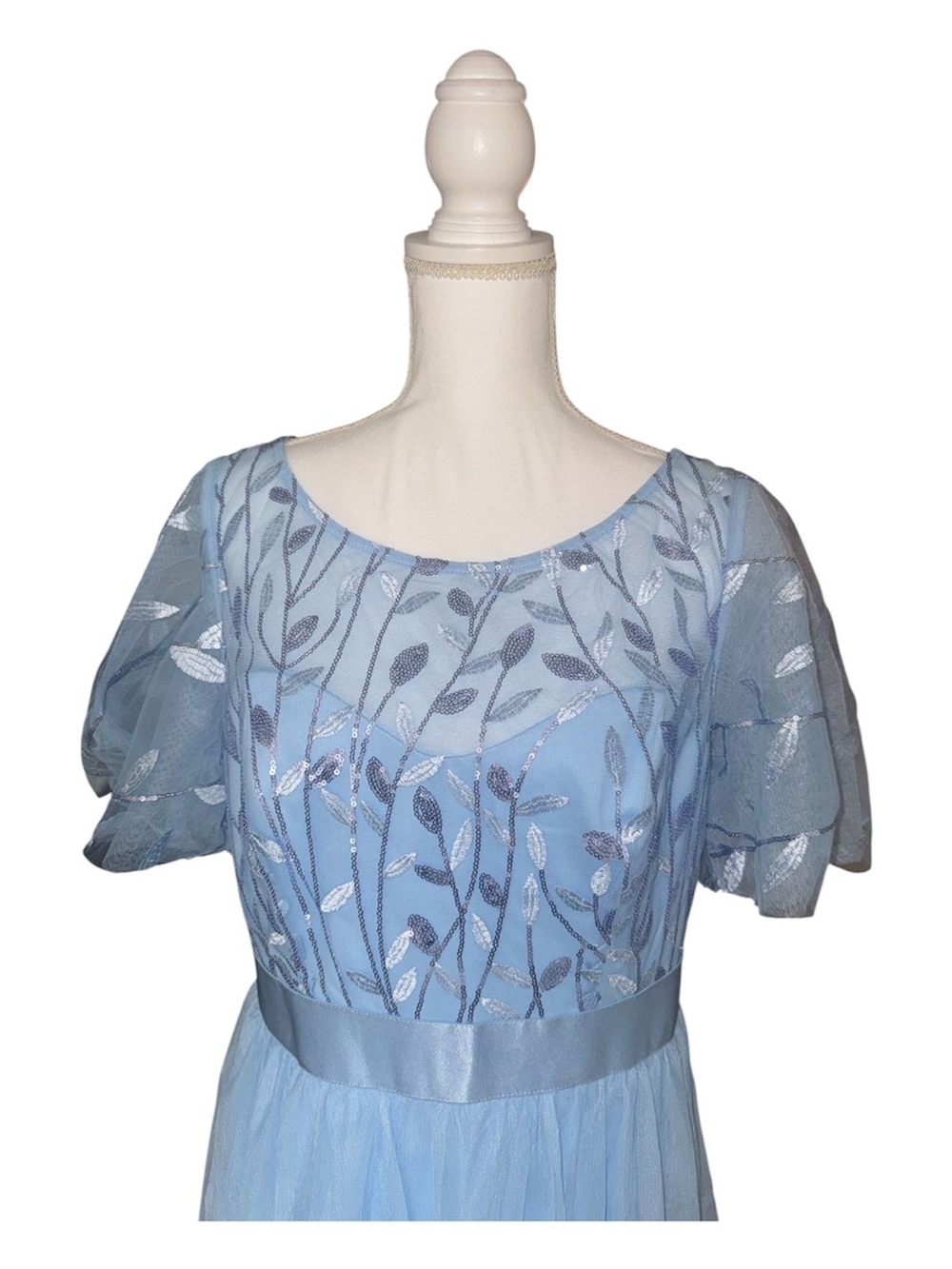 Light Blue Embroidered Tulle Maxi Dress - Picture 3 of 5